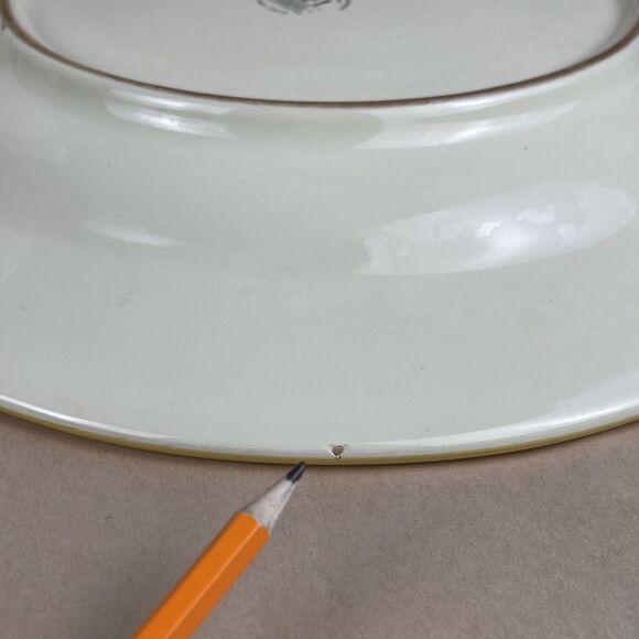 Pier 1 ETRUSCO Earthenware Pasta Serving Bowl/Platter 14 3/4” Hand Painted Italy - Picture 10 of 11